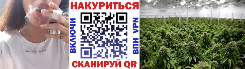 НБОМе Дмитровск