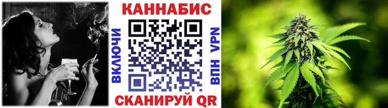где можно купить   Дмитровск  Шишки марихуана сатива 